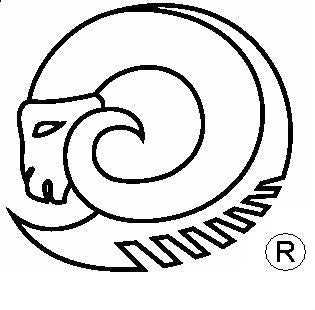 TWO - Kochmesser mit Griff aus Moor-Eiche - medium